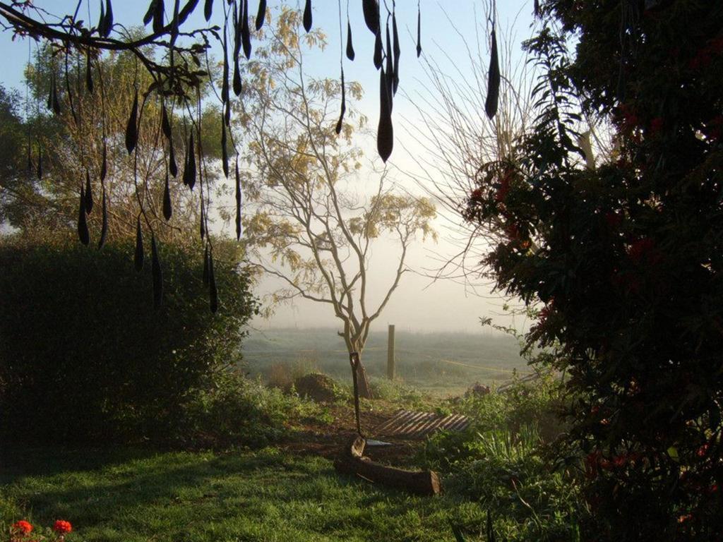 Lilydale Plovers Ridge Country Retreatヴィラ 部屋 写真